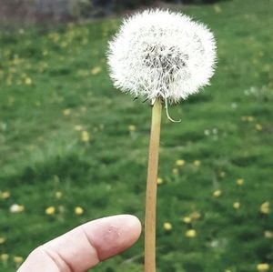 Meet your Posher, Bao